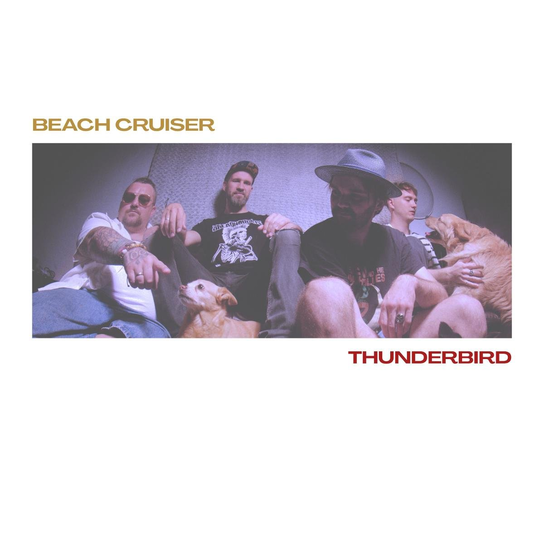 Thunderbird Beach Cruiser