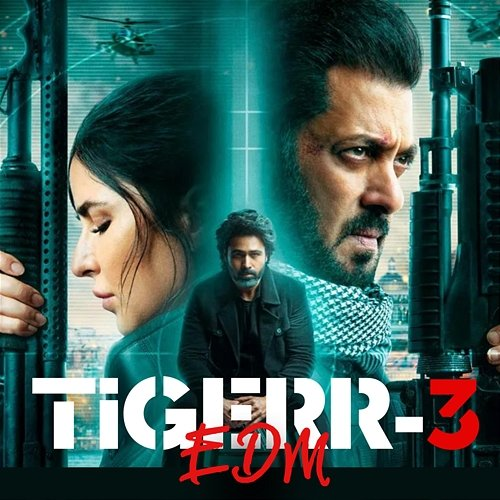 Tigerr-3 EDM Salmon Khan