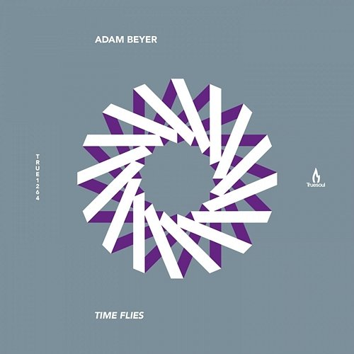 Time Flies Adam Beyer