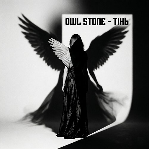 Тінь Owl Stone