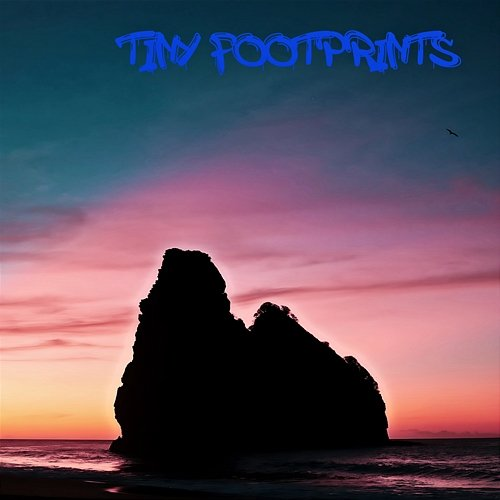 Tiny Footprints Teri Foreman
