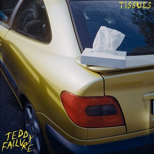 Tissues Teddy Failure