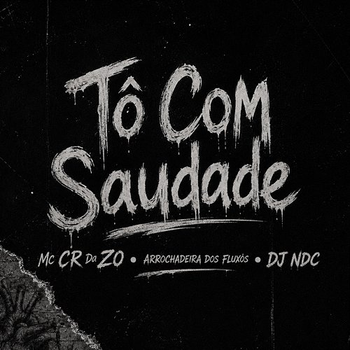 Tô Com Saudade Arrochadeira dos FLuxos, MC CR DA ZO, DJ NDC