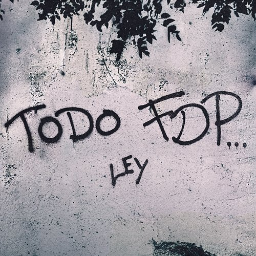 Todo FDP Ley