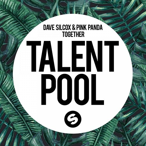 Together Dave Silcox & Pink Panda