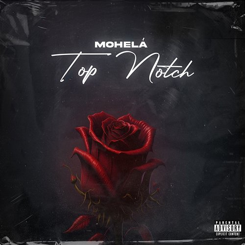 Top Notch Mohelá