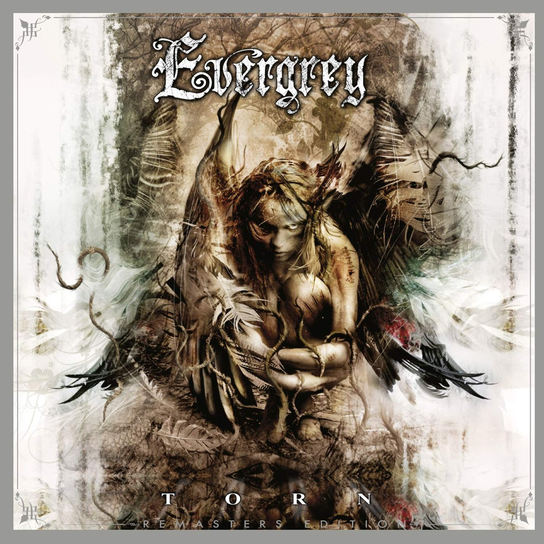 Torn Evergrey