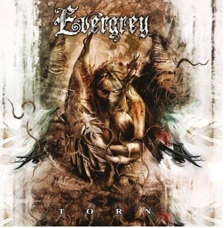 Torn Evergrey