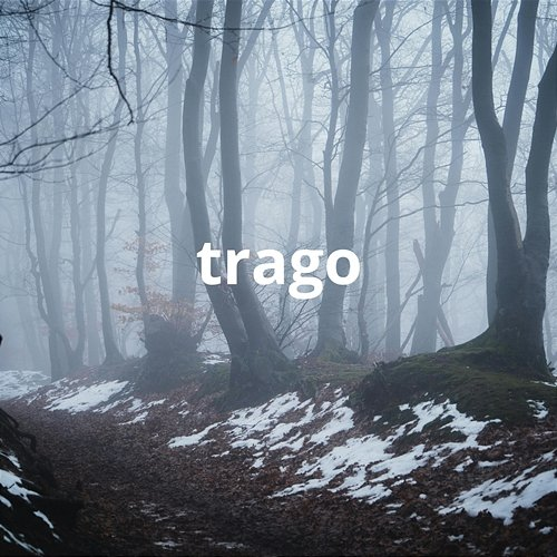 trago torres la fama