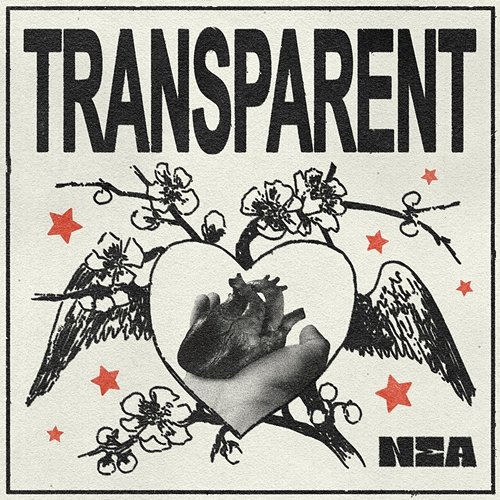 TRANSPARENT Nea