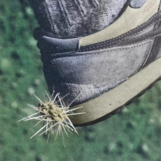 Tread Ross From Friends