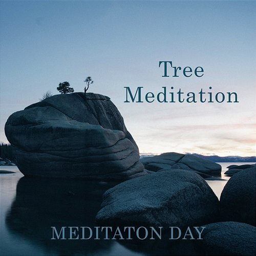 Tree Meditation Meditation Day