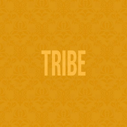 Tribe Jidenna