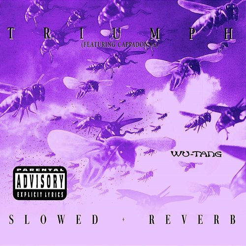 Triumph Wu-Tang Clan, Cappadonna