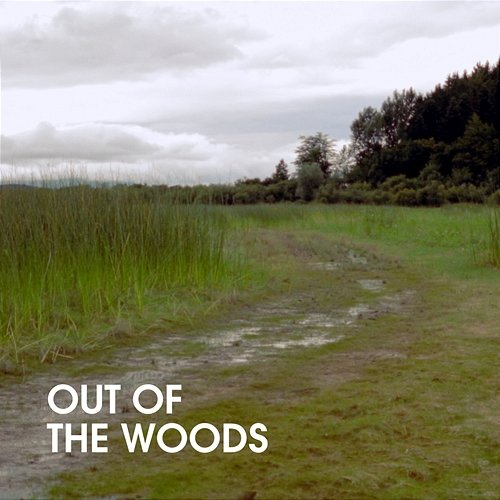 Trivia Out Of The Woods
