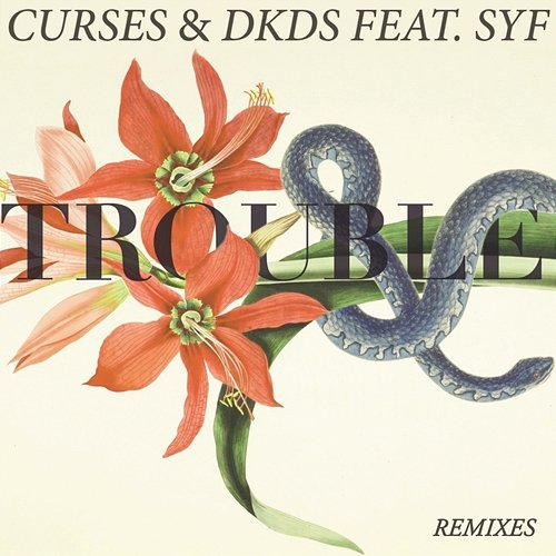 Trouble Curses, DKDS feat. SYF