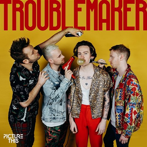 Troublemaker Picture This