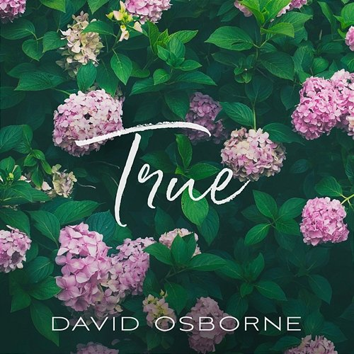 True David Osborne