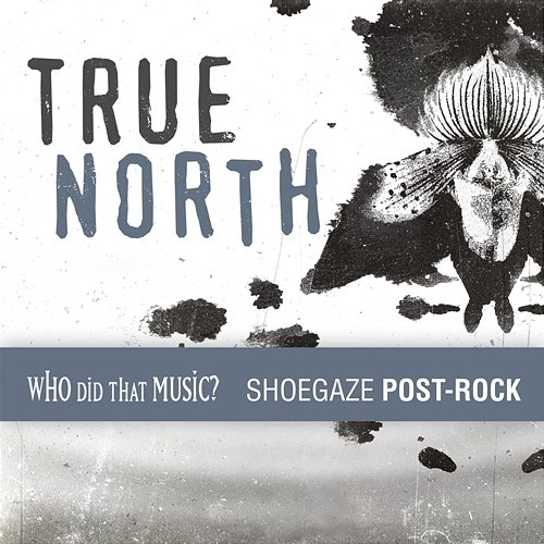 True North Post-Rock Ehren Ebbage