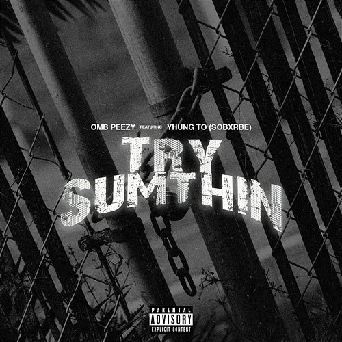 Try Sumthin OMB Peezy feat. Yhung To