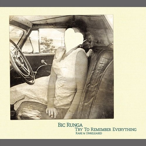 Try To Remember Everything Bic Runga