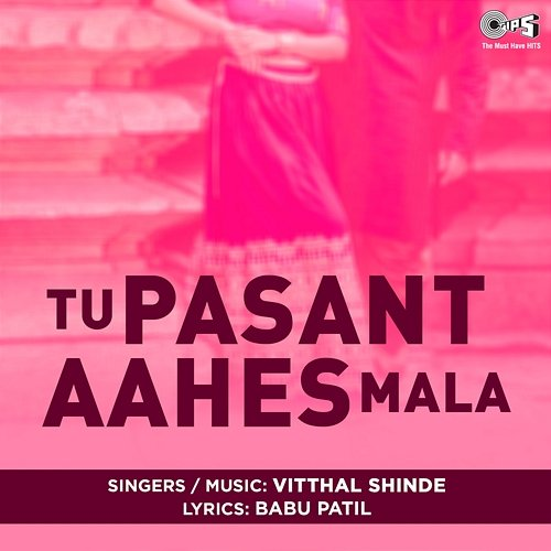 Tu Pasant Aahes Mala Vitthal Shinde