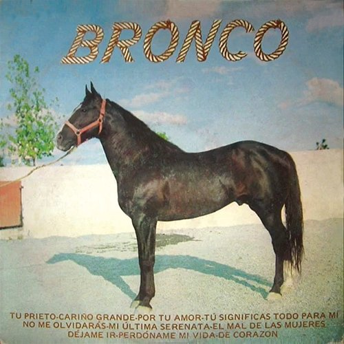 Tu Prieto Bronco