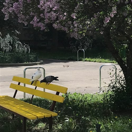 Ty i Ja ZPN feat. Ayo, 3okoalish, Killaherzz, Pawlacz