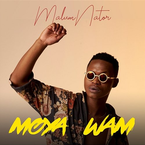 Umlilo MalumNator feat. De Mthuda, Ntokzin