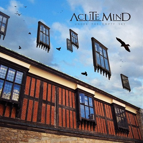 Under The Empty Sky Acute Mind