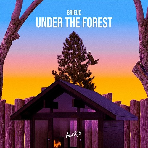 Under The Forest Brieuc