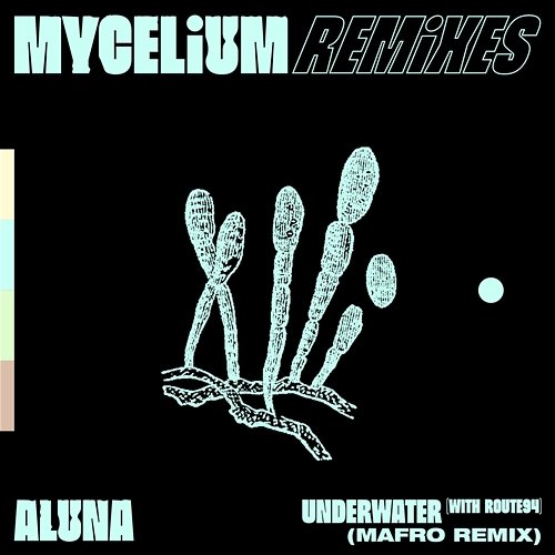 Underwater Aluna, Route 94
