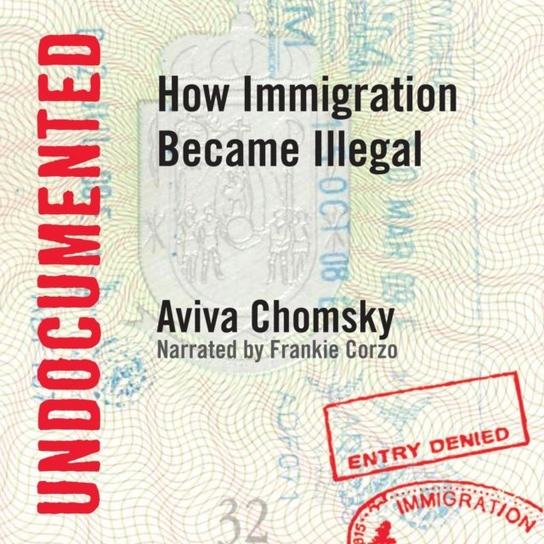 Undocumented - audiobook Chomsky Aviva