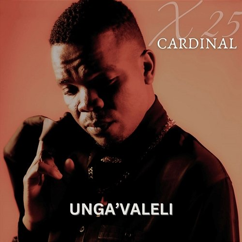 Unga'valeli Sanelee, Cardinal X25 feat. EugeCube, Csiie