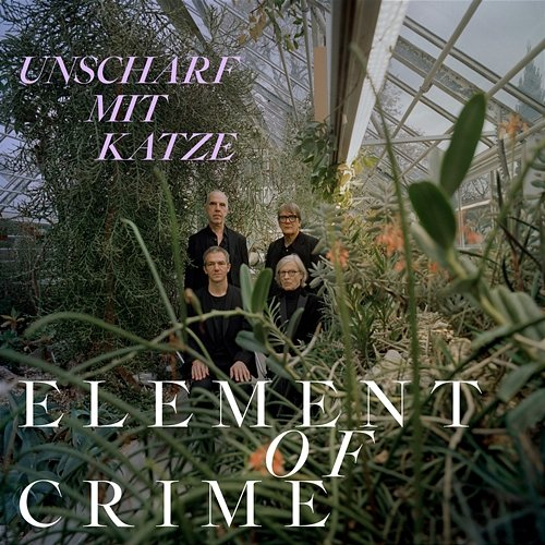Unscharf mit Katze Element Of Crime
