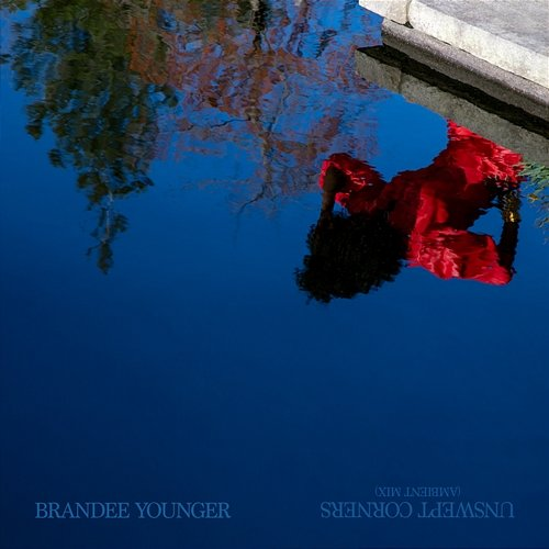 Unswept Corners Brandee Younger