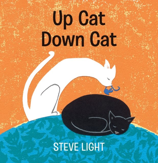 Up Cat Down Cat Steve Light