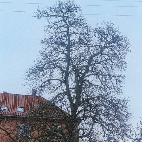 Upsi 28 Sebastian Wegener
