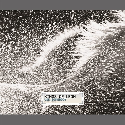 Use Somebody Kings Of Leon