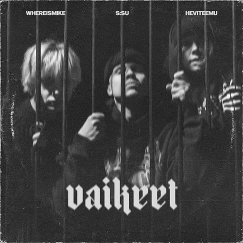 vaikeet s:su feat. whereismike, Heviteemu