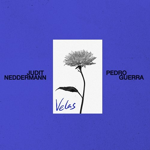 Velas Judit Neddermann, PEDRO GUERRA
