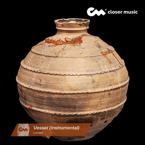 Vessel Lumen