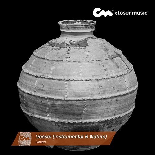 Vessel Lumen