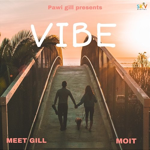 Vibe Meet Gill & Moit