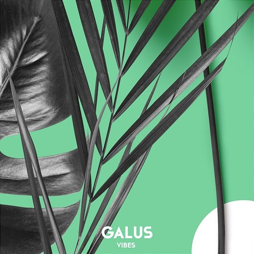 ViBes Galus