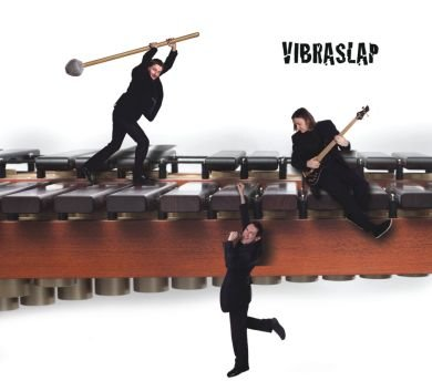 Vibraslap Vibraslap