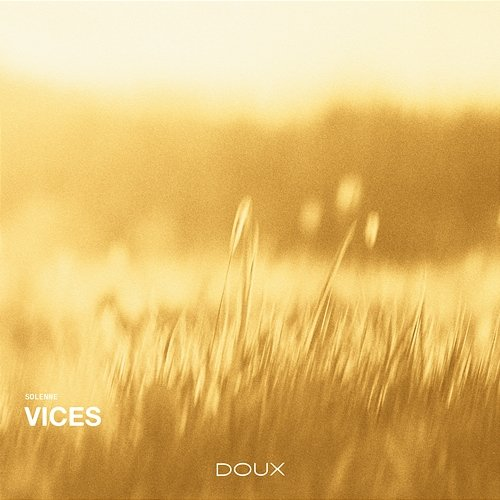 Vices Solenne