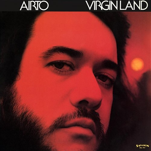 Virgin Land Airto