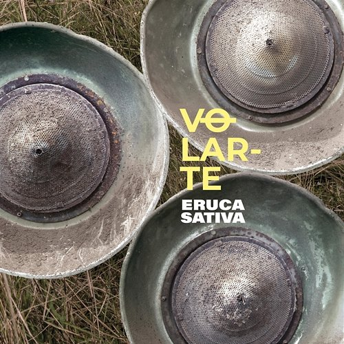VOLARTE Eruca Sativa