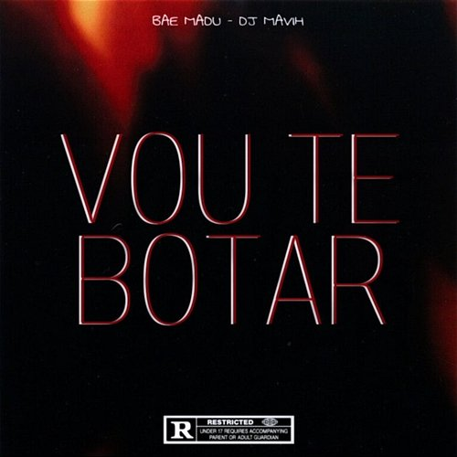 Vou Te Botar Bae Madu & DJ Mavih